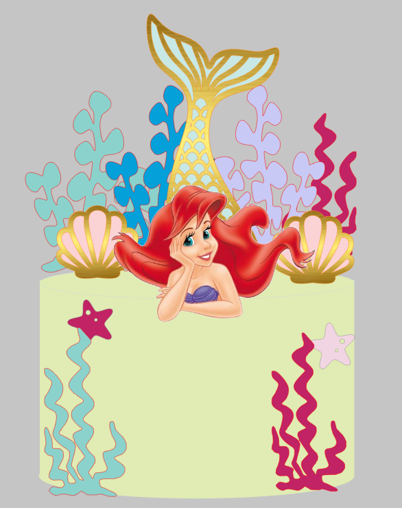 Topo Ariel